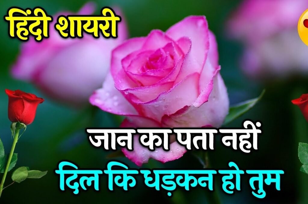 Romantic Dil Ki Dhadkan Shayari